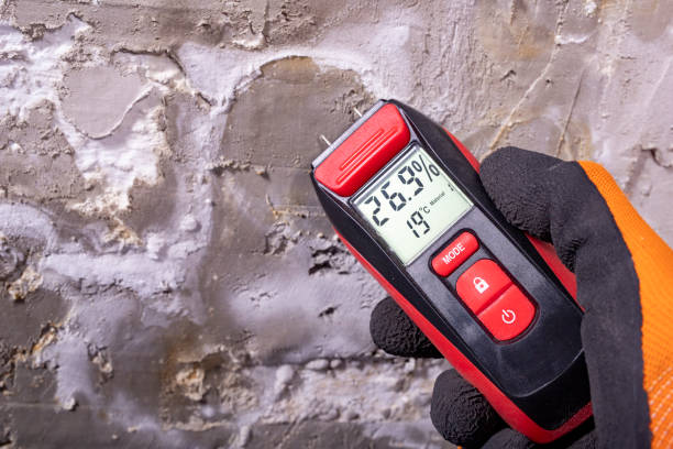 Best Post-Remediation Services in Laramie, WY